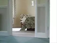 Karin Nest sex vung  ...