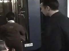 Stacy Thorn và hành  ...