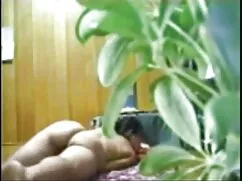 Cứng đầu và hoang dã ...